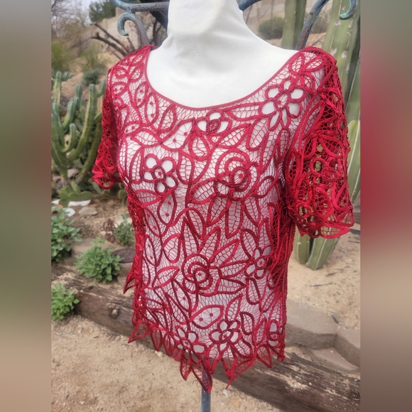 Silk Beaded & Laced Red Blouse - Picture 2 of 4
